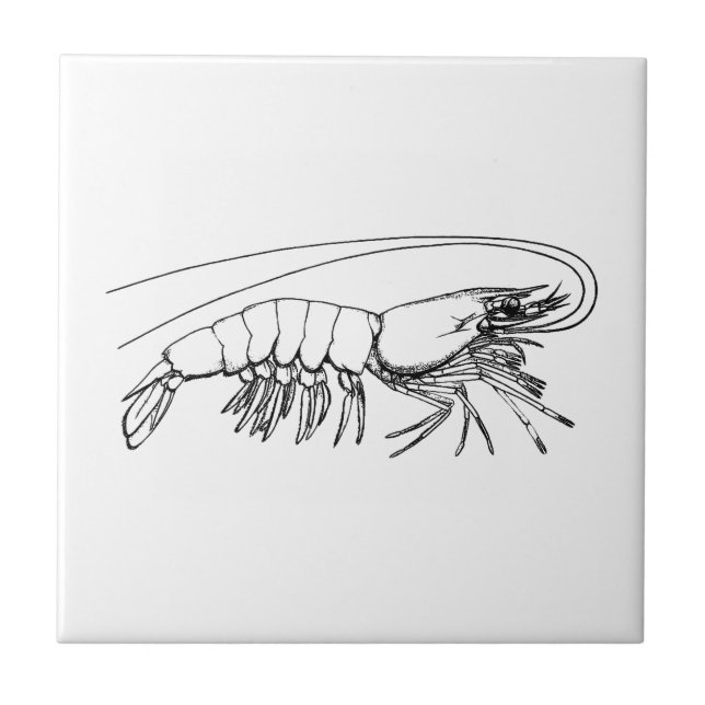Vintage Shrimp Tile (Front)