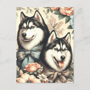 Vintage Siberian Husky Illustration Postcard