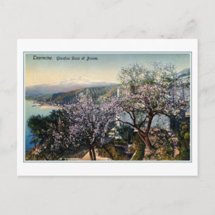 Vintage Sicily Garden Duke of Bronte (Lord Nelson) Postcard