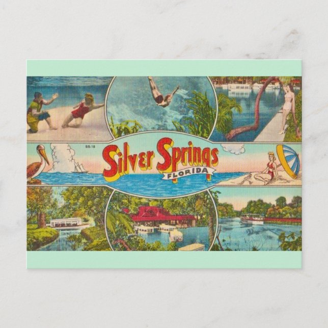 Vintage Silver Springs Attraction  Postcard (Front)