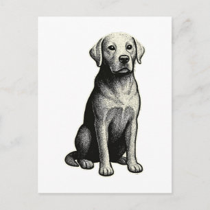 Vintage Sitting Dog Illustration Postcard