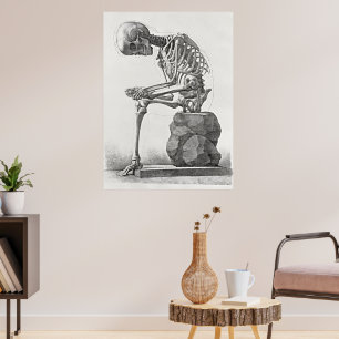 Vintage Skeleton Anatomy Poster