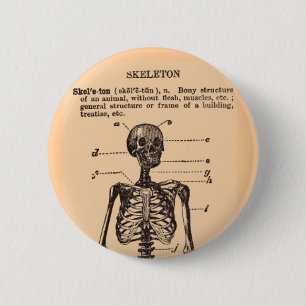 Vintage Skeleton Definition 6 Cm Round Badge