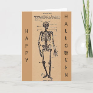 Vintage "Skeleton" Definition Card
