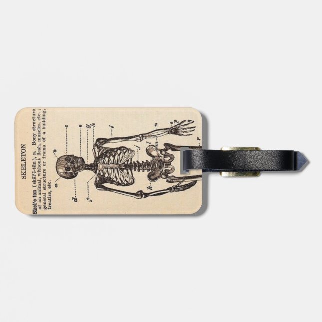Vintage Skeleton Definition Luggage Tag (Back Horizontal)