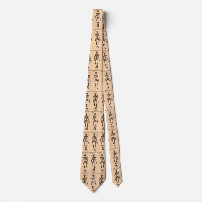 Vintage "Skeleton" Definition Tie (Front)
