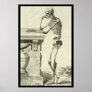 Vintage Skeleton, Human Anatomy by Denis Diderot Poster