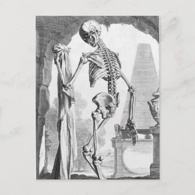 Vintage Skeleton Postcard (Front)