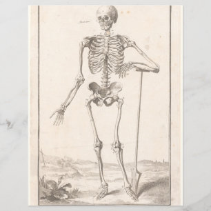 Vintage skeleton scrapbooking ephemera page
