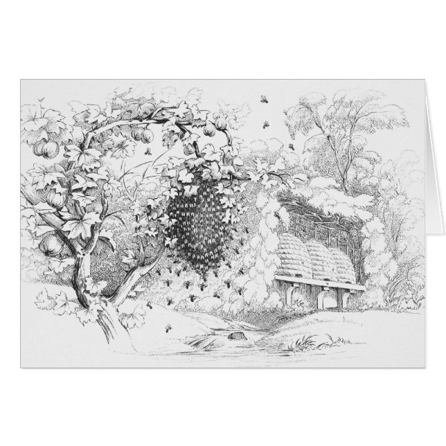 Vintage Skep Bee Hives Drawing (Front Horizontal)