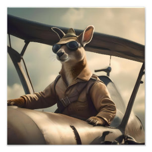 "Vintage Skies: The Kangaroo Pilot in Old Plane Photo Print
