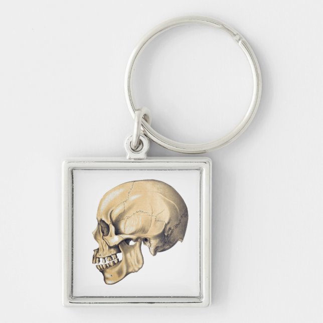 Vintage Skull Anatomy Illustration Key Ring (Front)