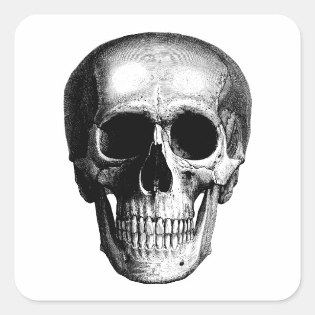 Vintage Skull Art Square Sticker (Front)