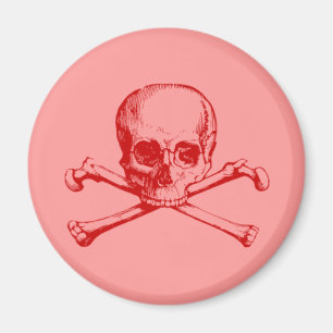 Vintage Skull & Crossbones Magnet