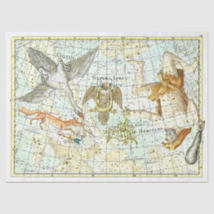 Vintage Sky Map Constellation of Hercules Tissue Paper