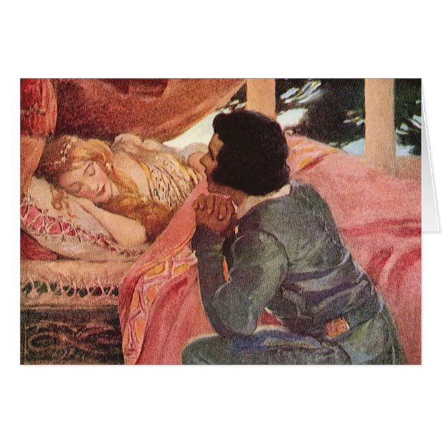 Vintage Sleeping Beauty by Jessie Willcox Smith (Front Horizontal)
