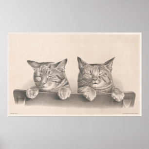 Vintage Sleepy Cats Drawing Art Print