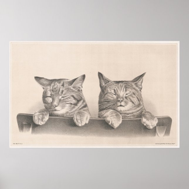 Vintage Sleepy Cats Drawing Art Print (Front)