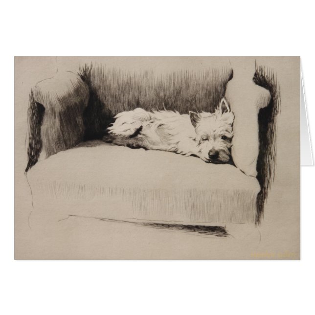 Vintage - Sleepy Westie, (Front Horizontal)