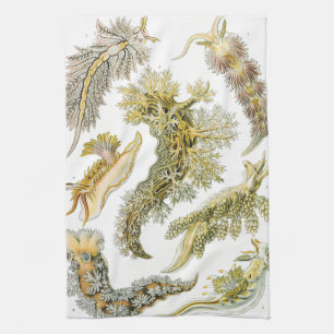Vintage Snails and Sea Slugs by Ernst Haeckel Tea Towel