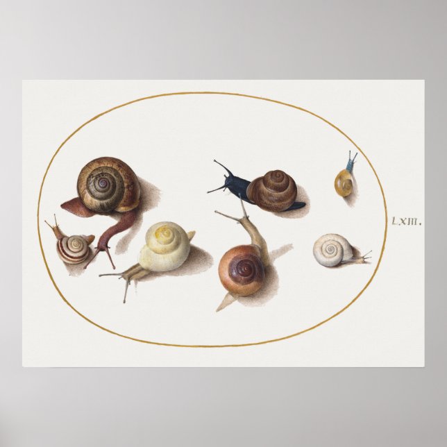 Vintage Snails Poster (Front)
