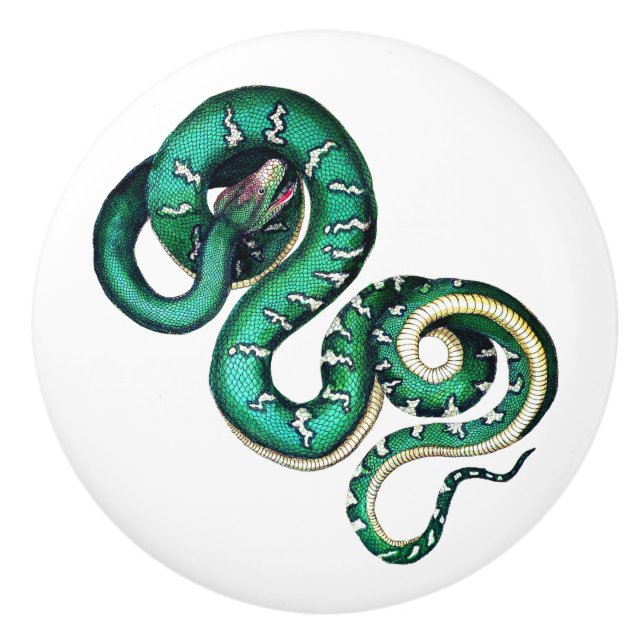 Vintage snake illustration reptile green white ceramic knob (Front)