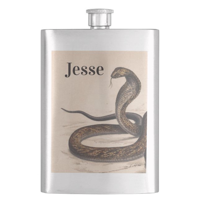 Vintage Snake Painting Classic Flask (Front)
