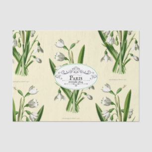Vintage Snowdrop Oval Product Label Yellow Tissue Paper