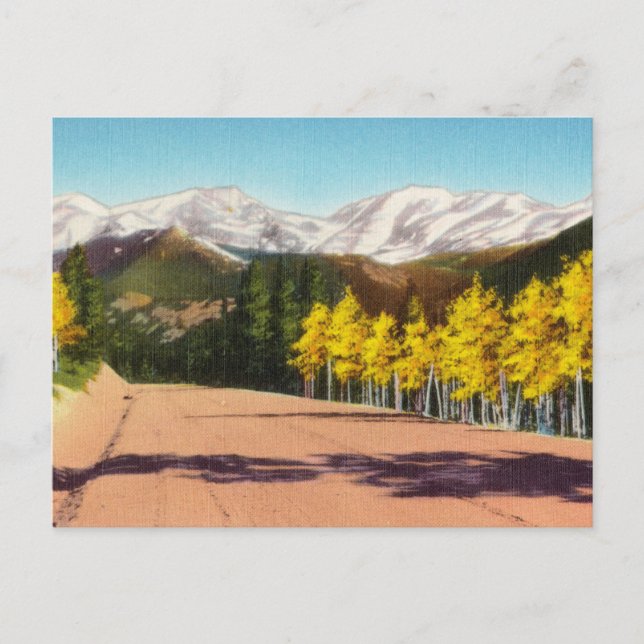 Vintage Snowy Mountain Tops through Park Postcard (Front)