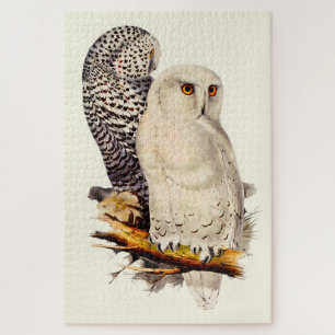 Vintage Snowy Owl Drawing Jigsaw Puzzle