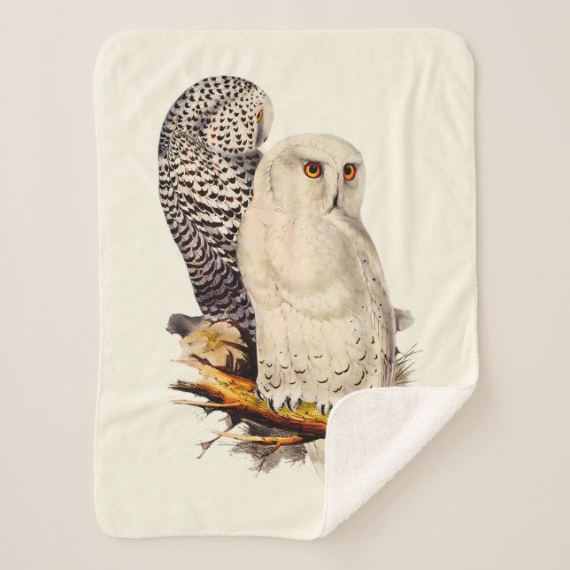 Vintage Snowy Owl Drawing Sherpa Blanket (Front)