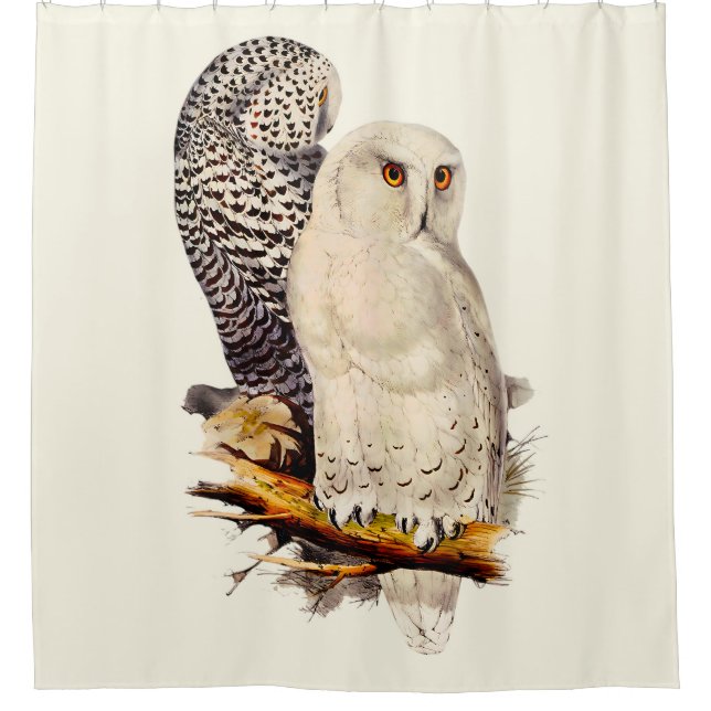 Vintage Snowy Owl Drawing Shower Curtain (Front)