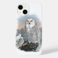 Vintage Snowy Owl Gould