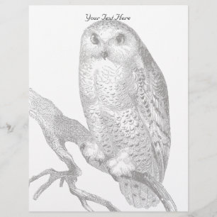 Vintage Snowy Owl Letterhead
