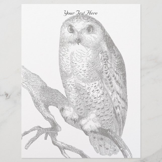 Vintage Snowy Owl Letterhead (Front)