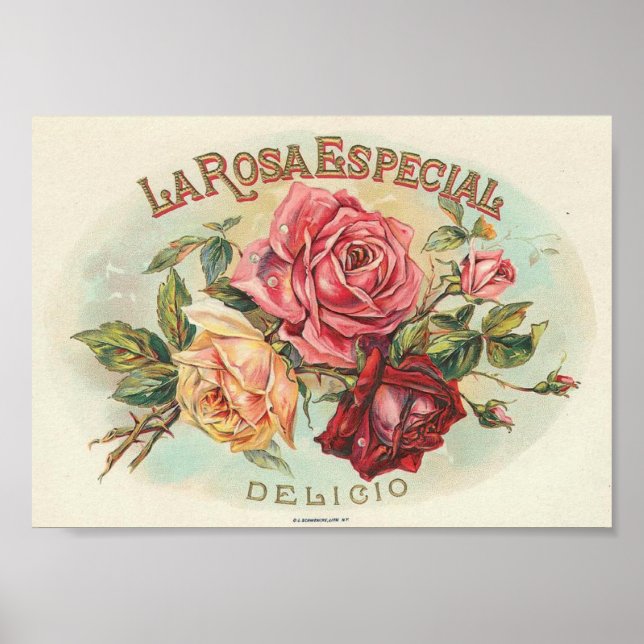 Vintage Soap Ad Print (Front)