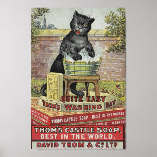 Vintage Soap Advertisement Poster