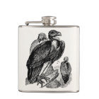 Vintage Sociable Vulture Bird - Vultures Template