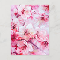 Vintage Soft Pink Petal Blossom