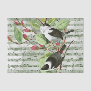 Vintage Songbirds on Sheet Music