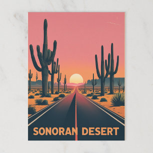Vintage Sonoran Desert Sunset Cactus Highway Postcard