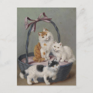 Vintage Sophie Sperlich Cats in a basket  Postcard