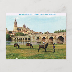 Vintage Spain, Salamanca, Cathedral Postcard
