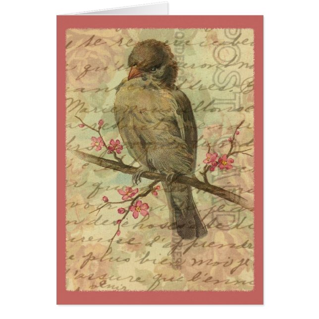 Vintage Sparrow (Front)