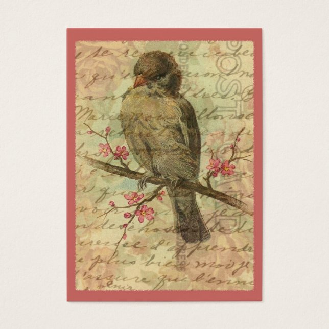 Vintage Sparrow (Front)