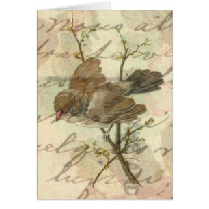 Vintage Sparrow with Handwritten Background