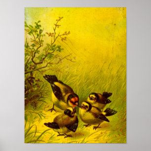 Vintage Sparrows Poster