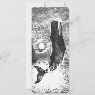 Vintage Sperm Whale Breaching, Marine Life Animals