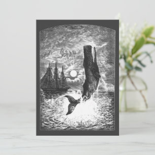 Vintage Sperm Whale Breaching, Marine Life Animals