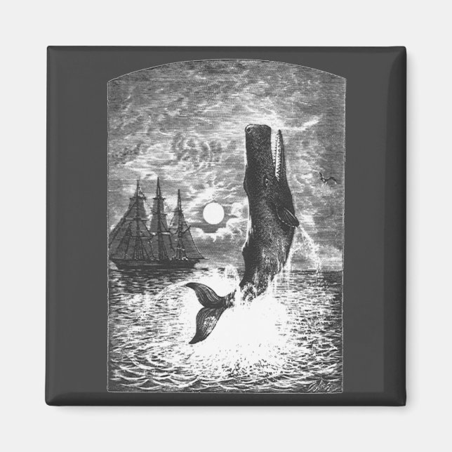 Vintage Sperm Whale Breaching, Marine Life Animals Magnet (Front)